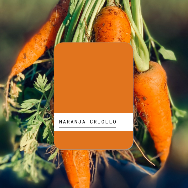 Esmalte al agua 1lt Naranja Criollo