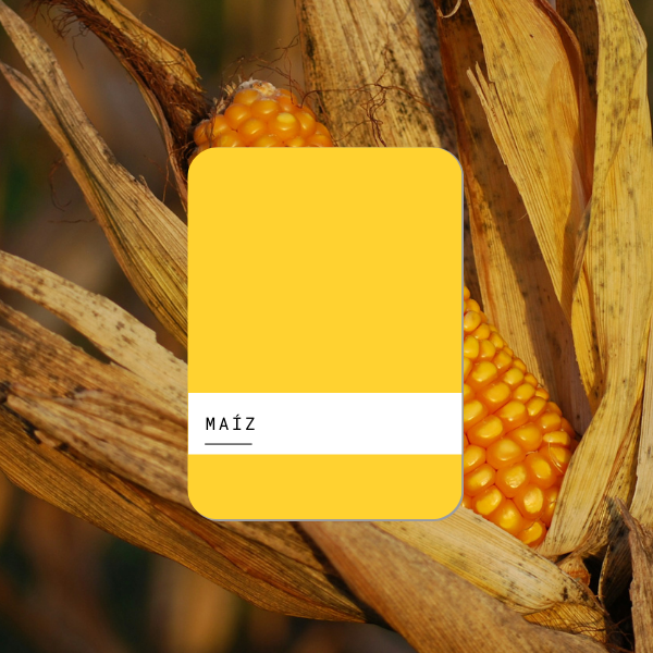 Esmalte al agua 1lt Maiz