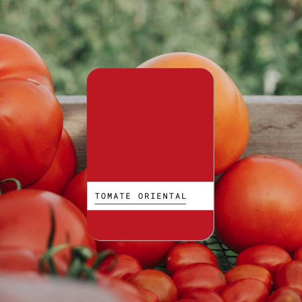 Esmalte al agua 1lt Tomate Oriental